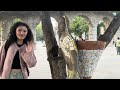 chandigarh vlog part 2 exploring places here with friends ladakhi vlogger 🌸💗