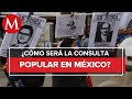 Lo que debes saber de la consulta popular del 1 de agosto