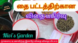 🌾🌾🌿தை பட்டத்திற்கான விதை பகிர்வு 🌱நண்பர்கள் அனைவருக்கம் நம்ம @Nivi's Garden🌱சேகரித்த மரபு விதைகள்✨✨🎄