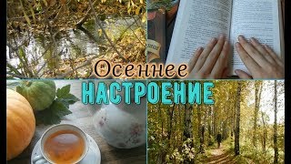 ОСЕННЕЕ НАСТРОЕНИЕ Декор, рецепты, DIY и чем занятся осенью?