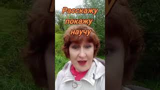 Расскажу где и как.