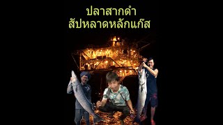 EP.14 ตกปลาหลักแก๊ส Night Fishing โดนปลาสากดำ คันหักคามือ