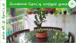 போன்சாய்  (Bonsai) மரம் தொட்டி மாற்றும் முறை