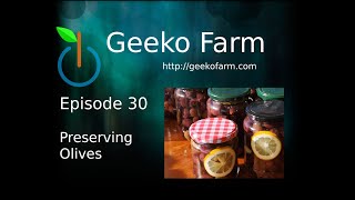 Episode 30 - Preserving Olives