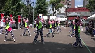 鬼々よろしく魁望蓮　うらじゃ2019踊　野田屋町公園演舞場　2019.8.4