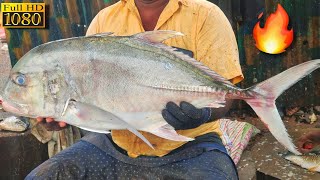 KASIMEDU 🔥MINNAL RAJA | HUGE TREVALLY FISH CUTTING🐟 | FISH CUTTING SKILL | KASIMEDU | CKFC🔪