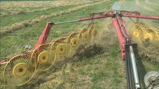 Raking my grass hay