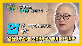 [광우스님 몰아보기] 업에 대한 모든 것 : 선업, 악업, 업보, 업장, 복덕, 공덕