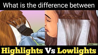 What is the difference between Highlights And Lowlights|| Color Depth Knowledge|| Salonfact