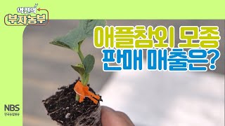 [역전의부자농부 225회] 애플참외 모종 판매 매출은?