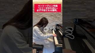 【クラシックピアノあるある】ベートーヴェン/エリーゼのために編 #shorts #piano #ピアノ  #エリーゼのために