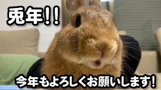 #39 【お久しぶりです】動画投稿再開のご挨拶 Happy New Year!!