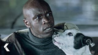 Squeaky Dog Scene - Snatch | Brad Pitt, Jason Stathem