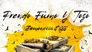 Demenciia$666 - Prendo Fumo Y Tozo 🏚🏴‍☠️💨