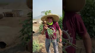 Frolicking Through The Garden With Farmer Craig!