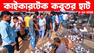 কাইকারটেক কবুতর হাট ১-১২-২০২৪ | kobutor hat 2024 | pigeon market in bangladesh | Kaikertek kobutor h