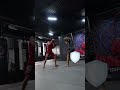 punch counter low kick boxing muaythai mma thaiboxing kickboxing