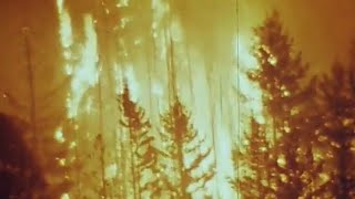 Wildfire! (1971) | A Look at the 1970 Entiat Fire