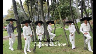 Mariachis Bogotá | Mariachi Juvenil, Colombia Show | Serenatas Bogota | CEL: 3107858421
