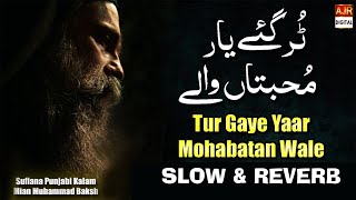 Tur Gaye Yaar Mohabbatan Wale ( Slow & Reverb ) | Kalam Mian Muhammad Bakhsh | AJR Digital
