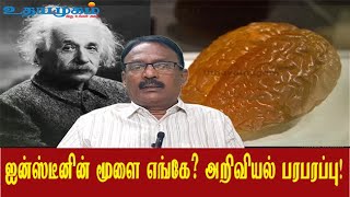 ஐன்ஸ்டீனின் கடைசி ஆசையை நிறைவேற்றாத விஞ்ஞானி - #athanurchozhan #einstein #bigbangtheory  #universe