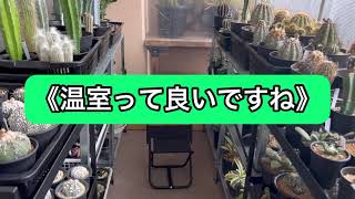 【温室って良いですね】植物を見ながら話をする動画72