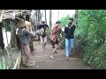 SIAPA YANG TAU COWOK INI KAGETNYA LUCU SEKALI || PRANK ORANG-ORANGAN SAWAH || SCARECROW PRANK