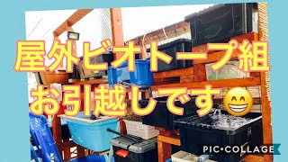 ふじやんメダカ　屋外ビオトープ組　お引越しです😬