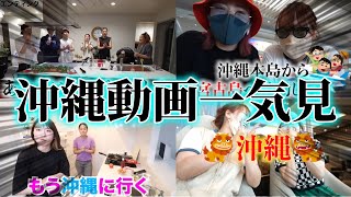 【作業・寝落ち用】沖縄動画一気見！【平成フラミンゴ　切り抜きch】