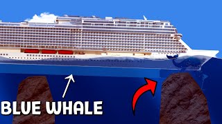 Blue Whale Ship VS Reef | Floating Sandbox