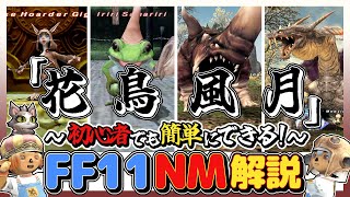 【FF11】初心者向け！！花鳥風月のNM4体を徹底解説！【FFXI復帰】