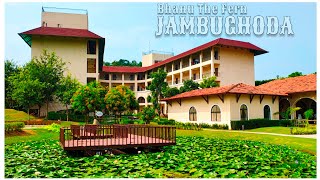 Stay at Bhanu The Fern Forest Resort and Spa | Quality Time Spent in Jambughoda | Nature | Greenery