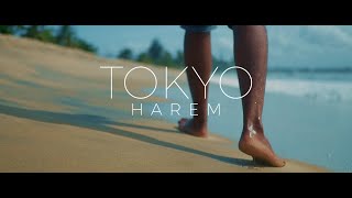 Tokyo Harem - Viloma (Official Lyrics VIDEO )