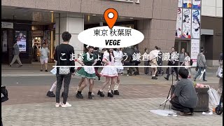 日本東京秋葉原|Vegan素食|こまきしょくどう 鎌倉 不識庵|Komaki Shokudo Kamakura Fushikian|Cure Maid Café可愛女僕餐廳