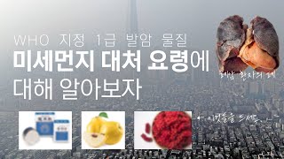 미세먼지, 사실은 미세 중금속?! 😷🤧