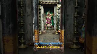 அச்சரப்பாக்கம் ஆட்சீஸ்வரர் சன்னதி