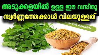 🔴 സ്വർണ്ണത്തേക്കാൾ വിലയുള്ള മരുന്ന് അടുക്കളയിൽ ഉണ്ട്│Marhaba Media