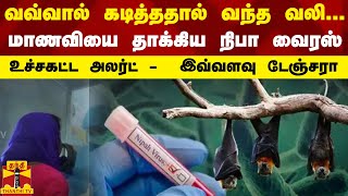 வவ்வால் கடித்ததால் வந்த வலி... மாணவியை தாக்கிய நிபா வைரஸ் - உச்சகட்ட அலர்ட்