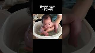 뚫어져라 보는 48일 아기 목욕 #shorts #아기목욕