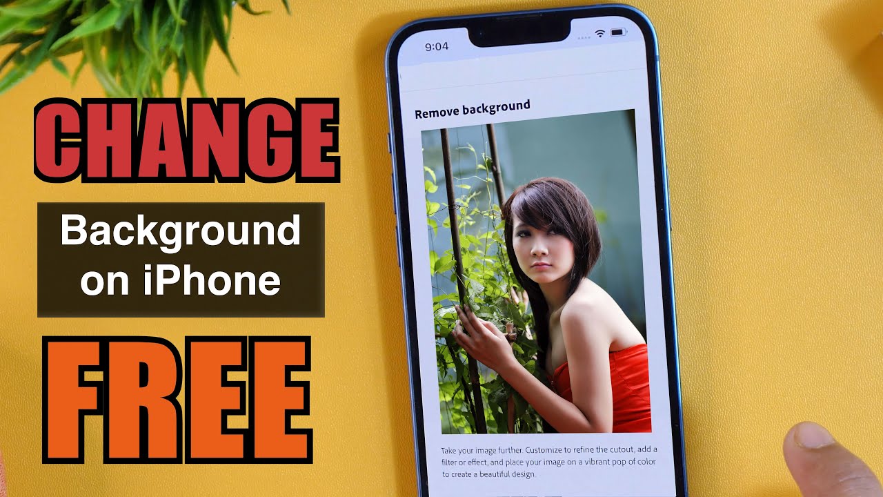 How To Change Background Photo Of Any Picture On IPhone FREE? (Erase ...