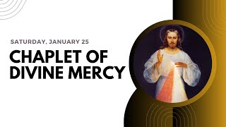 Chaplet of Divine Mercy -- Saturday, January 25 ❤️  Follow Along Virtual Rosary