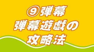 ⑨弾幕、弾幕遊戯の攻略法を話合おうぜ