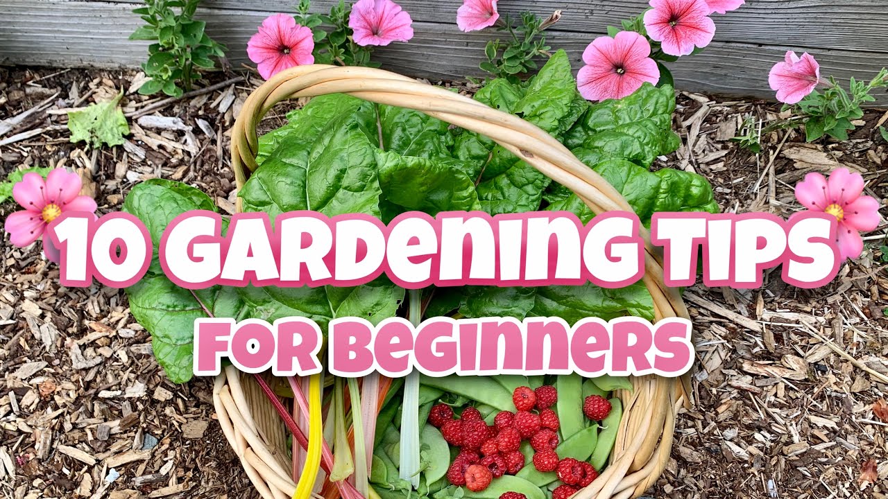 10 Gardening Tips For Beginners - Gardening Chronicle