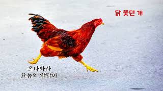 ■장성현가곡교실 [2228] 닭 쫓던 개 🐕임승천 작시/정덕기 작곡