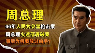 66年人民大会堂枪击案，周总理火速部署破案，事后为何要放过凶手