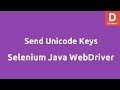 Send Unicode Keys with Selenium Webdriver