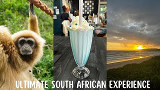 South Africa Travel Vlog 🇿🇦 | Beaches, Wildlife & Hidden Gems!