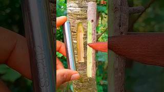 Amazing grafting ✔ technique \u0026simple tools #satisfying #nature #garden #shorts