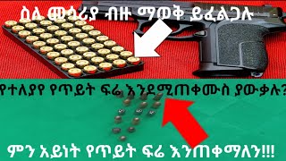 የተለያዩ የ ሽጉጥ ፍሬዎች(different types of gun bullet )