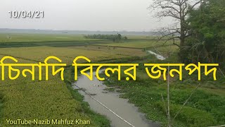 চিনাদি বিলের দরগা বুনধ এলাকায়।Dulalpur Union area of Shibpur,Narsingdi.